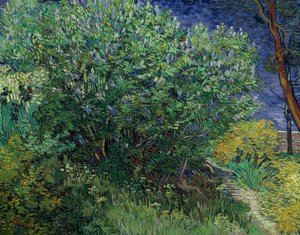 Arbusto de lilas, 1889 de Vincent van Gogh